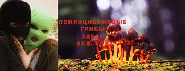 амф Алексин