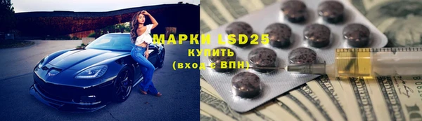 прущий лед Алзамай