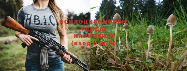 прущий лед Алзамай