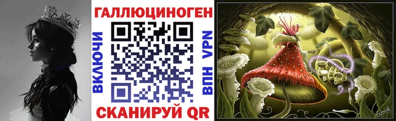 Псилоцибиновые грибы Magic Shrooms нарко площадка состав Новошахтинск