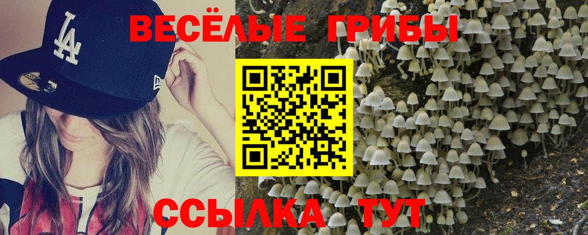 Новошахтинск  Псилоцибиновые грибы Cubensis  Вход с VPN 
