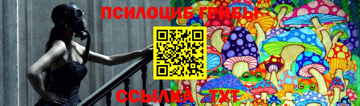 Галлюциногенные грибы ЛСД Новошахтинск
