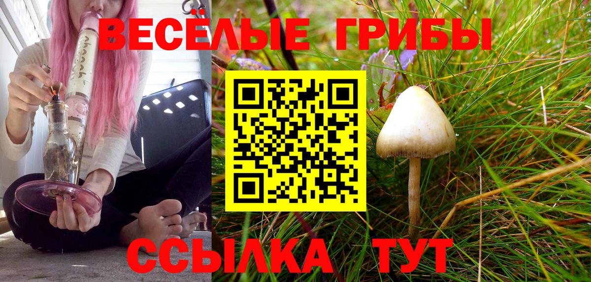 Новошахтинск  Галлюциногенные грибы прущие грибы  Вход с VPN  Галлюциногенные грибы ЛСД 