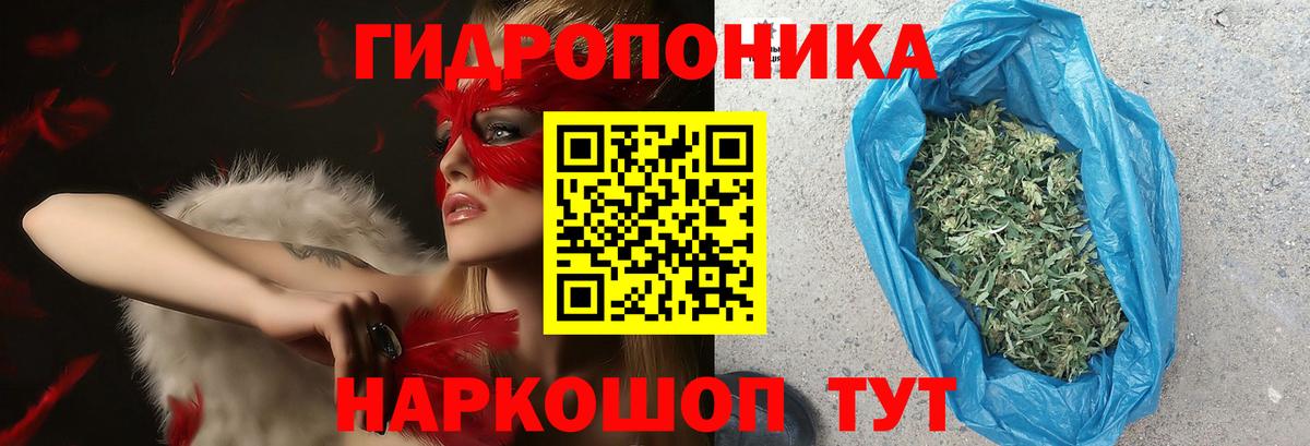Марихуана гибрид Новошахтинск